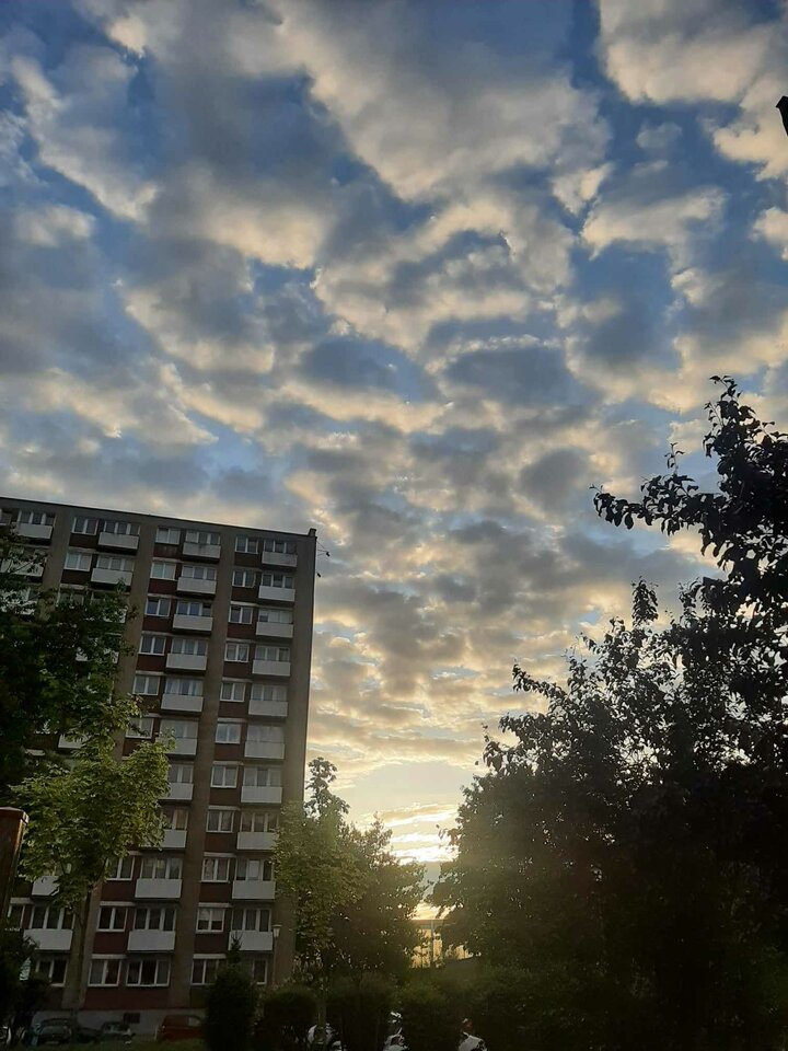 385530706_1956730724724164_8412286428297523547_n.jpg - ZAKI1234