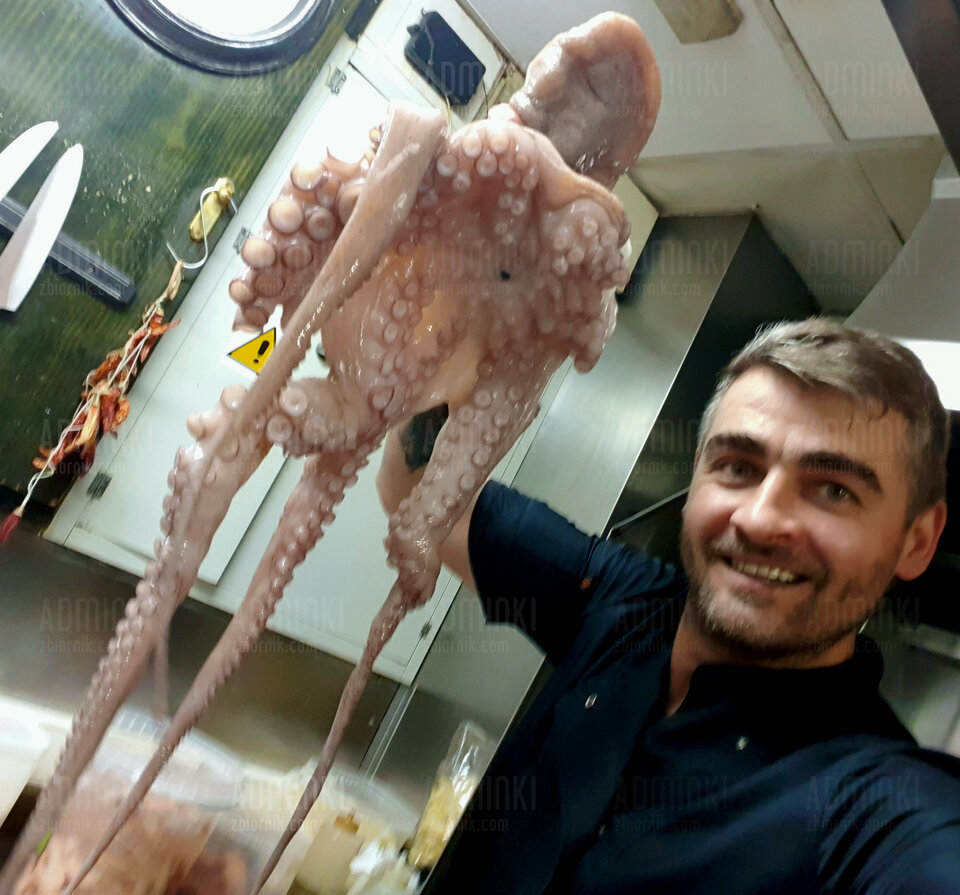 Nie ma to jak osmiornica 🇪🇸❤️🐙🐙 - Adminki