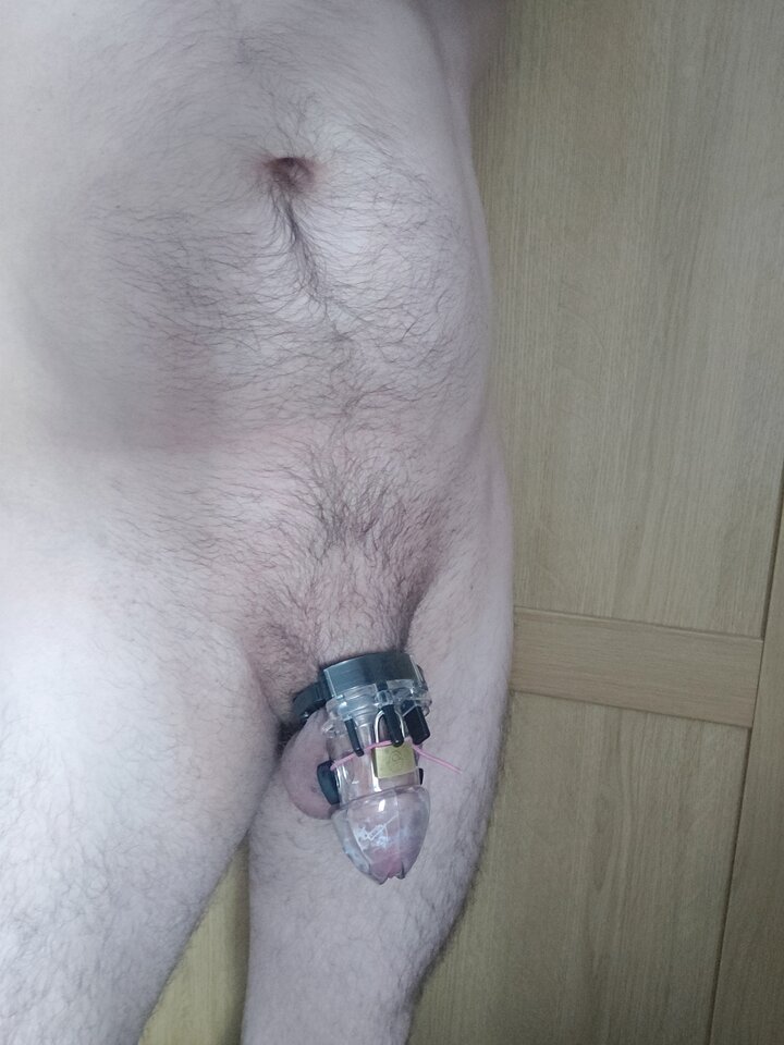 Uległa szmata dalej w zamknięciu. Jakieś zadanie do wykonania - widzget