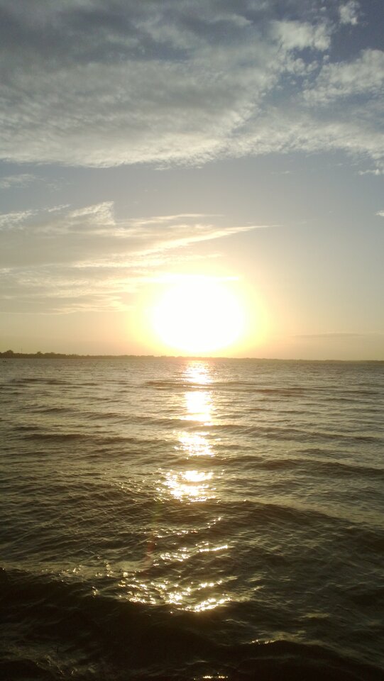 WP_20231014_031.jpg - Ratl