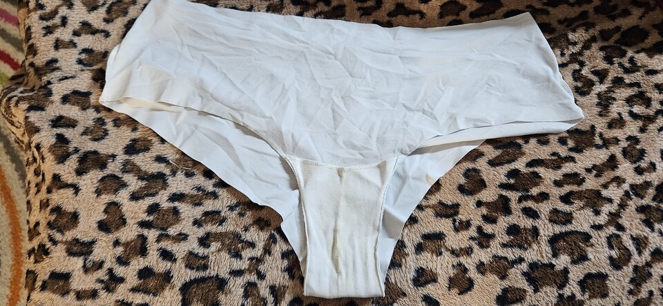 20231020_202042.jpg - wast79