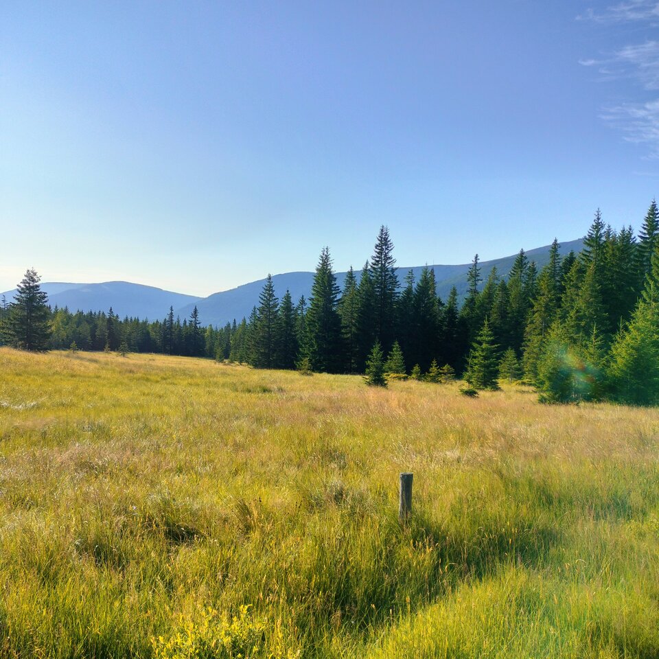 1000004622.jpg - SylKris