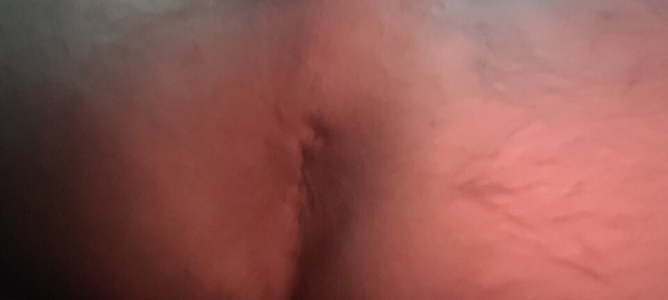 20231021_075953.jpg - Bedi69