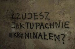 Stare ale jare✌️