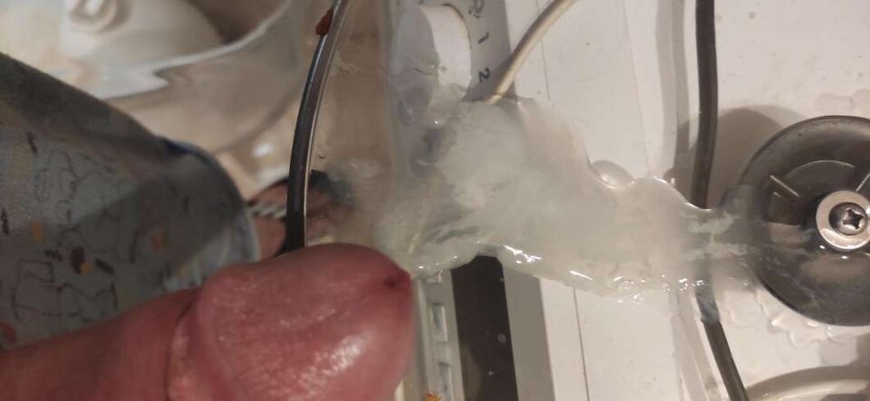 IMG_0987.jpeg - Dawid3555