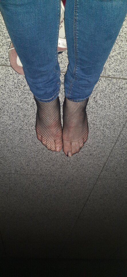 16979080955861100034988883208277.jpg - Palciusia