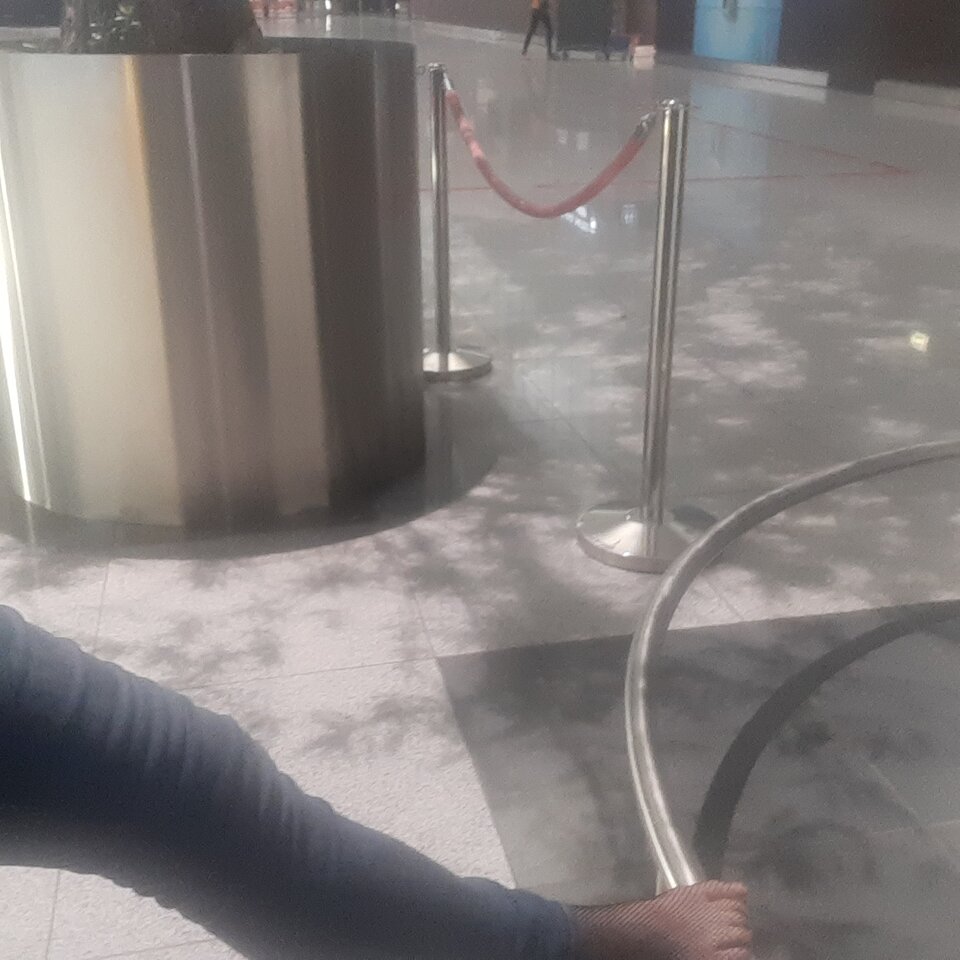 1697908138436691185747794154617.jpg - Palciusia