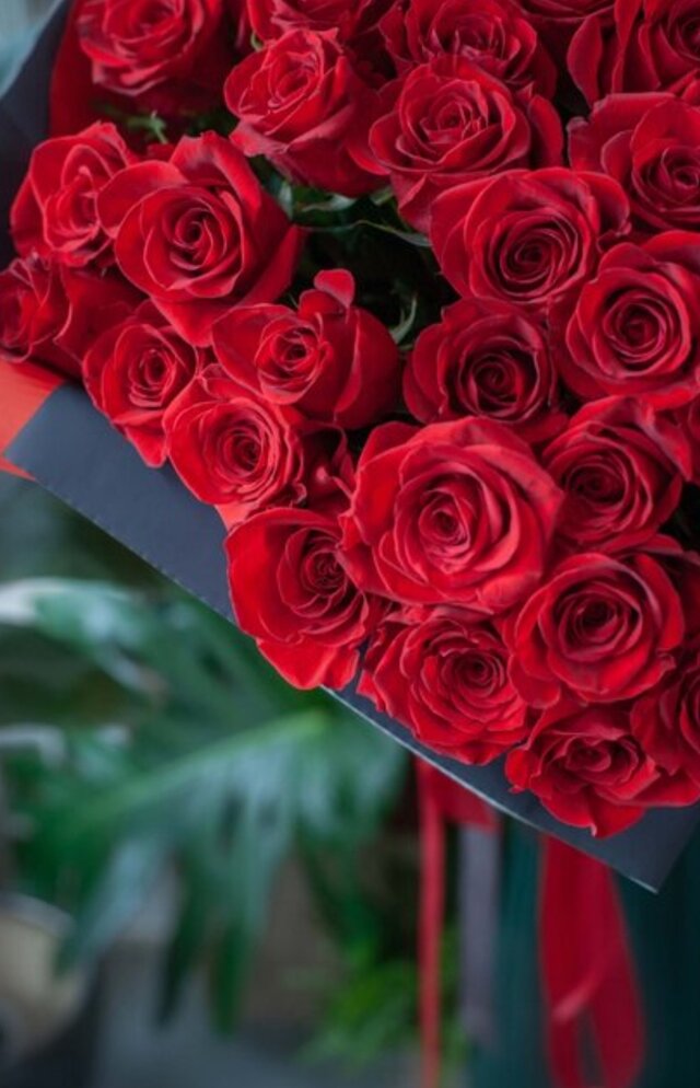 xx12345xx