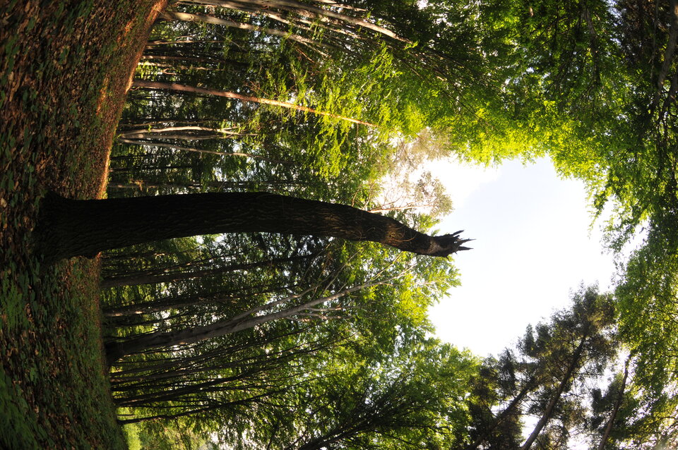 DSC_5063.JPG - turning