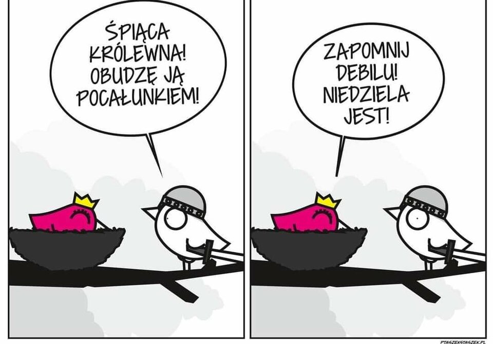 FB_IMG_1697979287921.jpg - kinklover