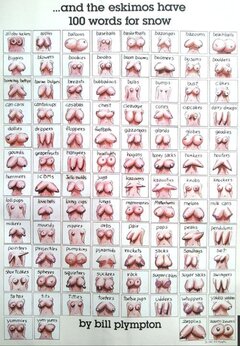 Wszystkie są piękne i cudowne 😁