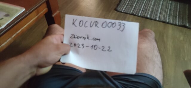 Kocurooo33