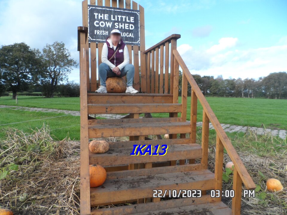 SAM_1745.JPG - ika13