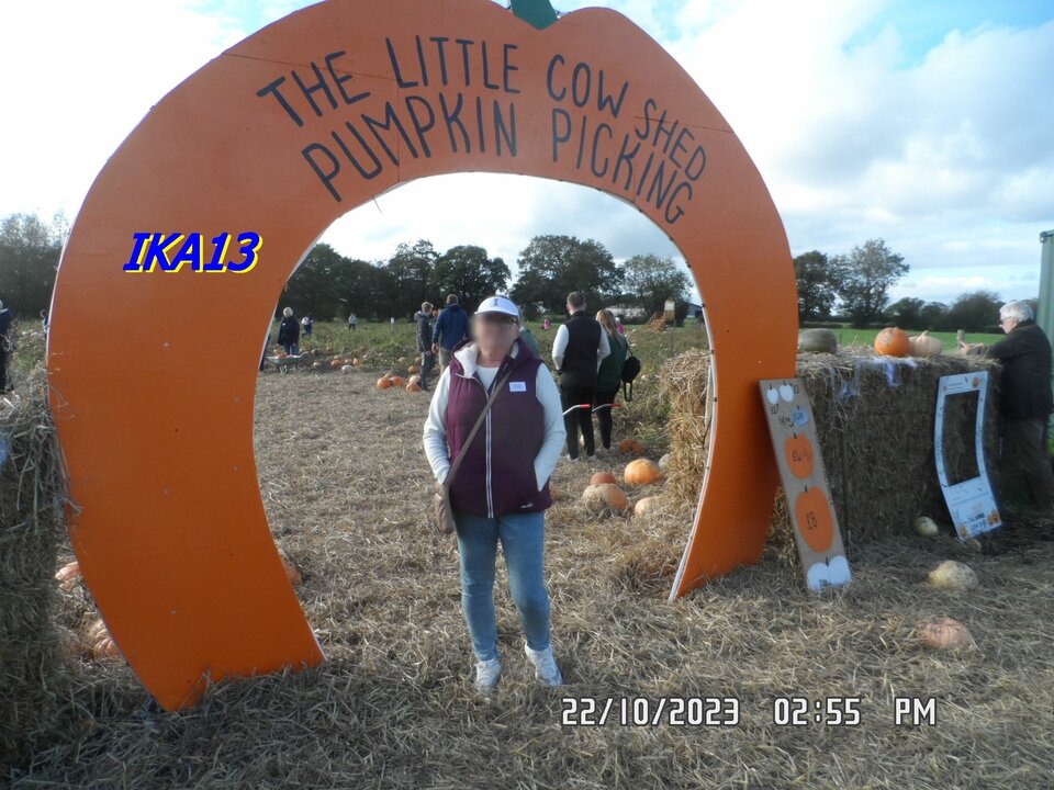 SAM_1744a.jpg - ika13