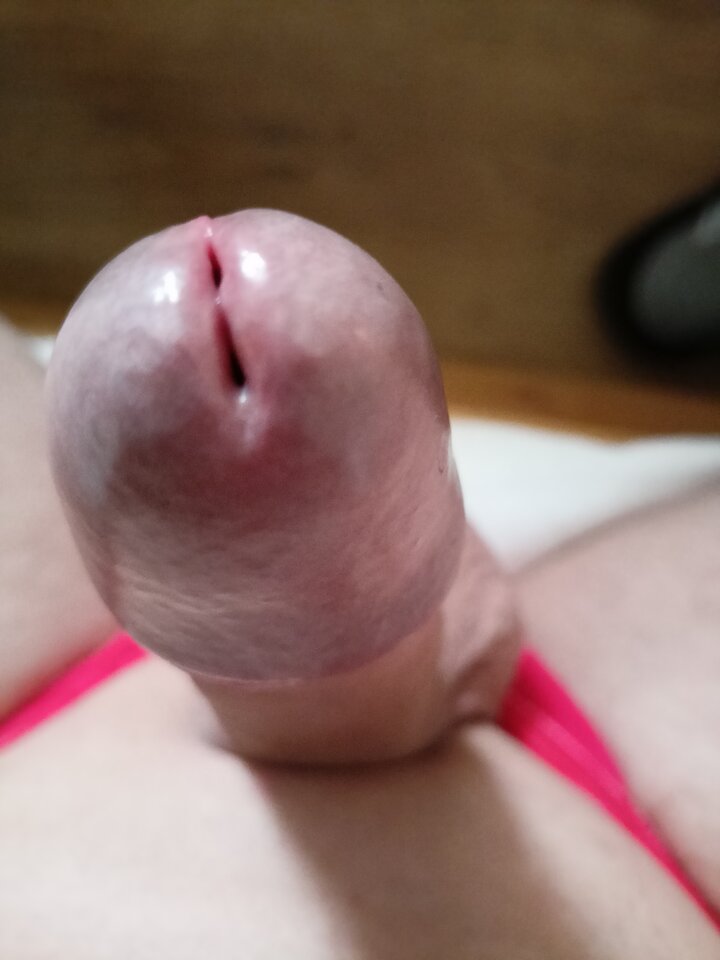 IMG20231022152707.jpg - Miro494