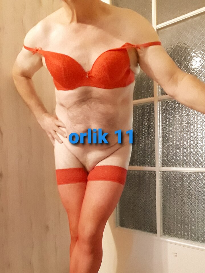 20231022 - orlik11