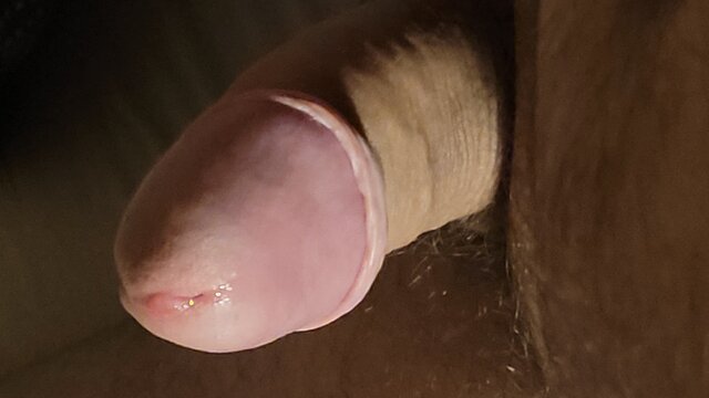 Tygrys0666