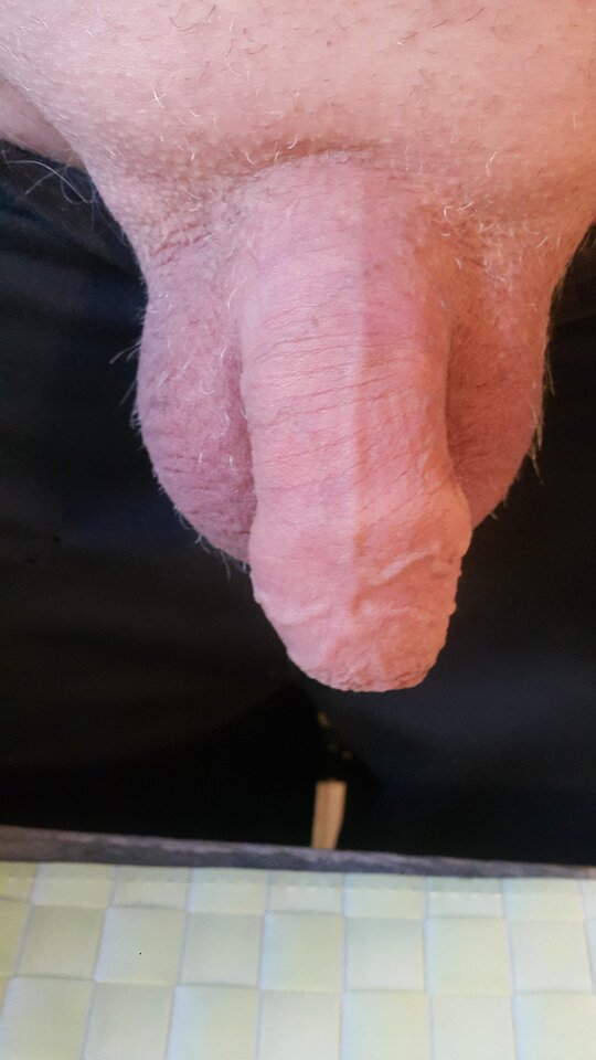 20231023_101156.jpg - robekBi