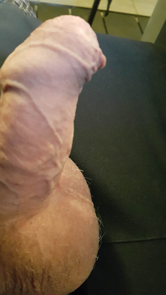 20231023_102357.jpg - robekBi