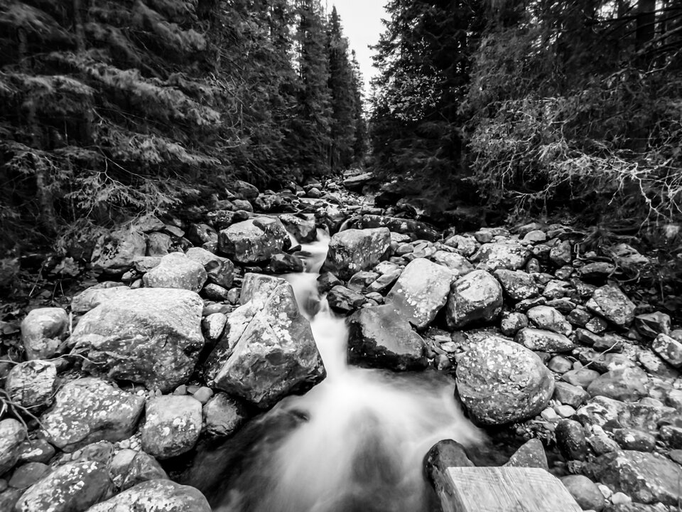 IMG_9506_jpg.jpeg - FotoRaf1983