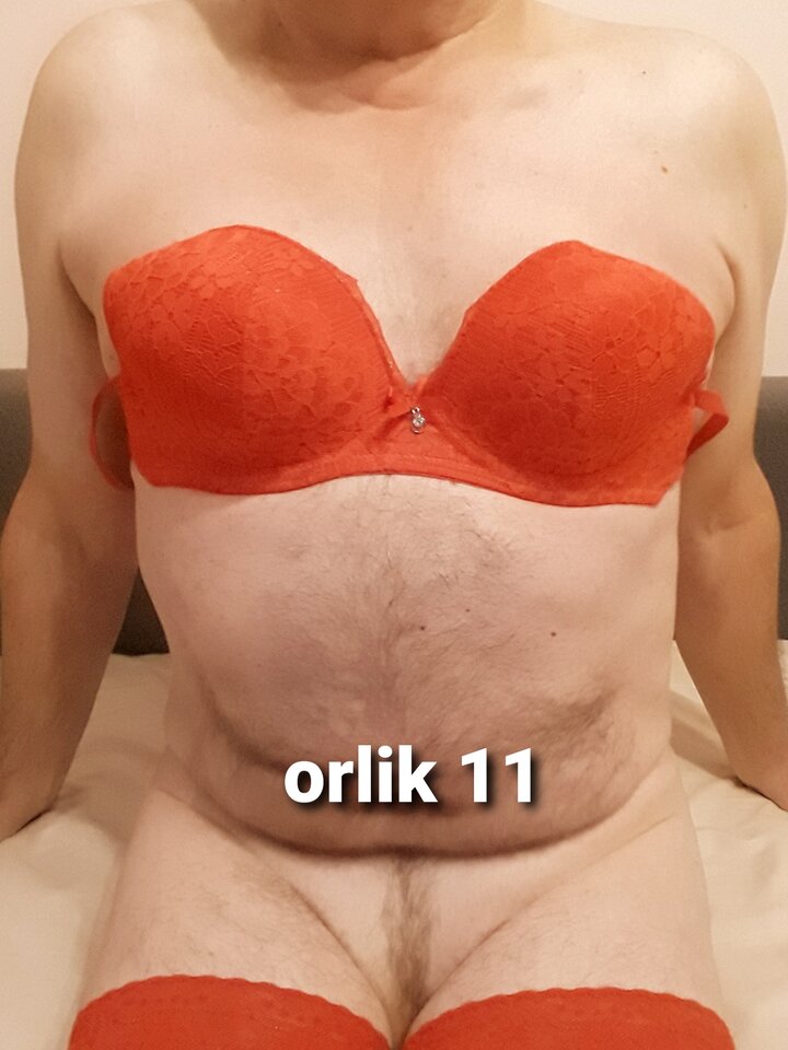 20231025 - orlik11