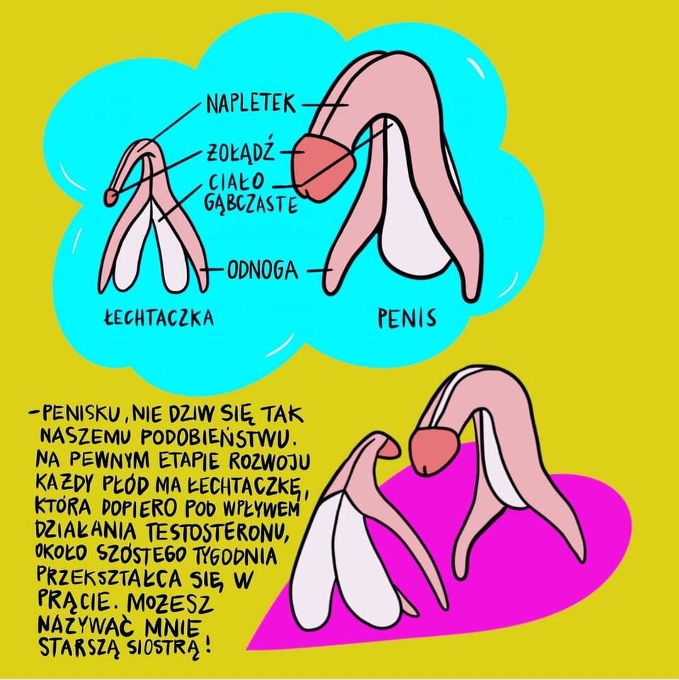 Screenshot_20231025-221604_Facebook.jpg - Salidas