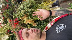 3BB887AD-3C10-46AC-AC0A-600ED52863E0.jpeg