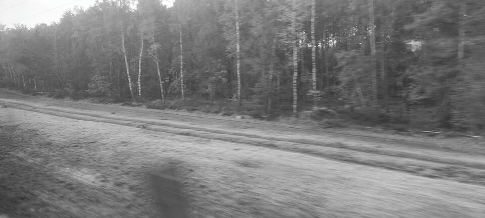 Mroczny klimaty - Beehemoth