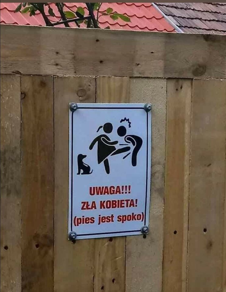 IMG_20231025_094510.jpg - Nicci