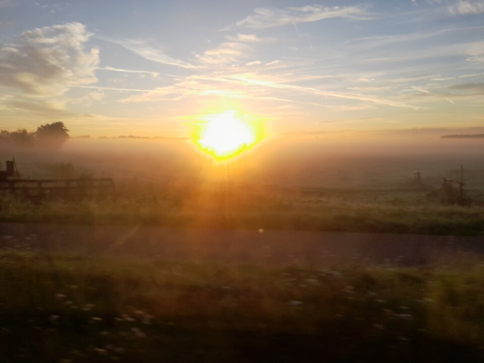 20230816_063957.jpg - Anika400