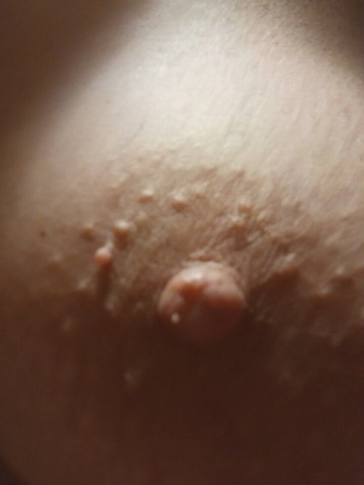 IMG_20231027_043526.jpg - olla55