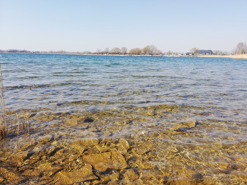 IMG_20200402_123403.jpg - Specjalista19