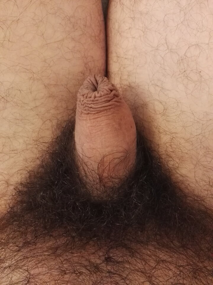 1698384032963-198172029.jpg - Mozeteraz91