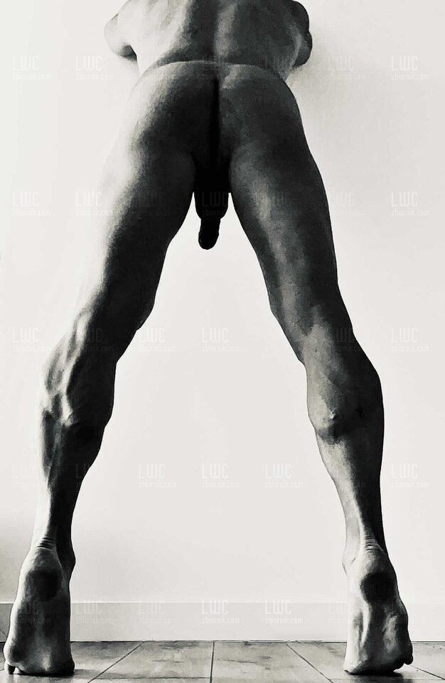 5659806b-ca84-4c87-8952-b1f28796ebaa.jpeg - LWC