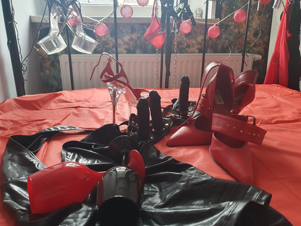 20231027_111515.jpg - PelniWrazen