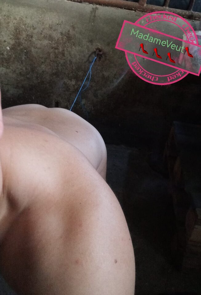 IMG_20231026_065417.jpg - MadameVeut