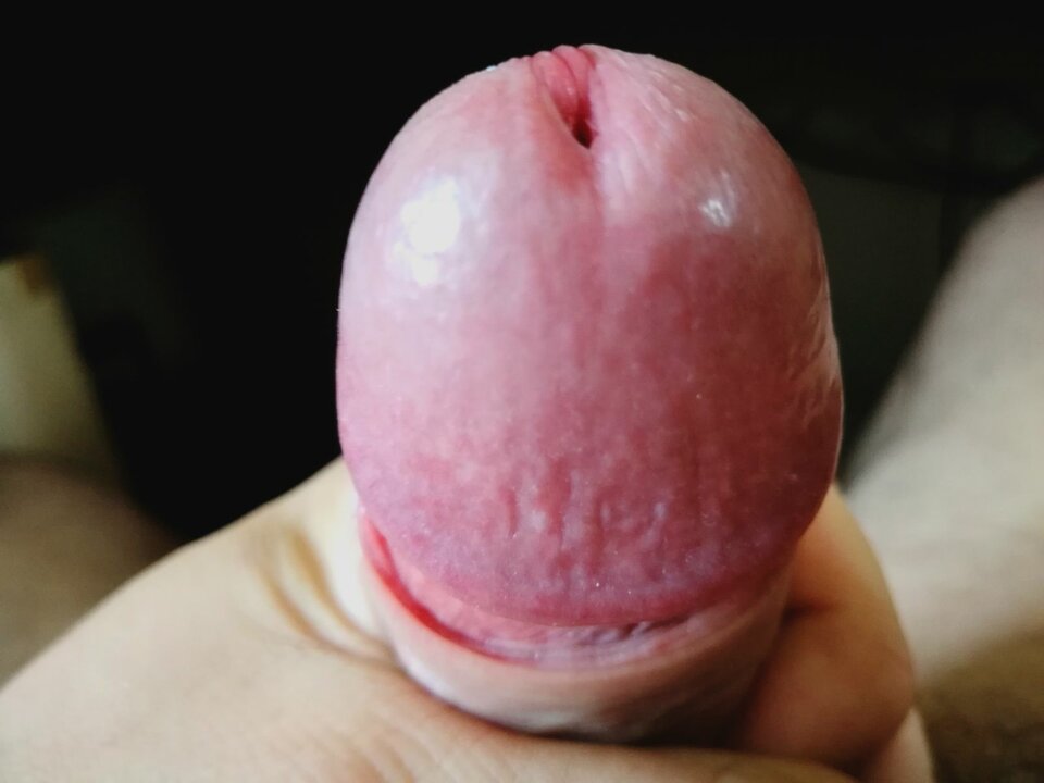 Moj kutas4.jpg - sylwio