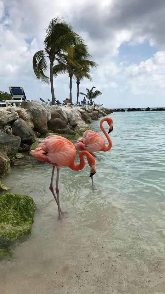 49a3a618918bd50aec44cb19fa9e60e8.jpg - Molly00