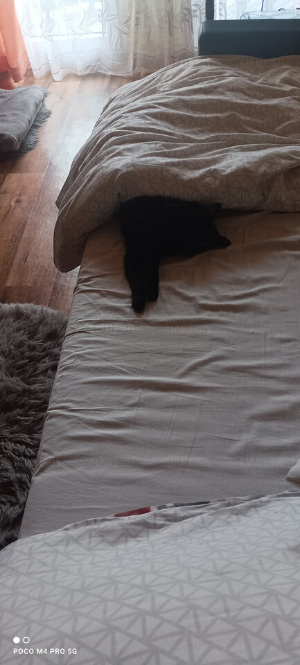 IMG_20231027_125944.jpg - Napaleni75