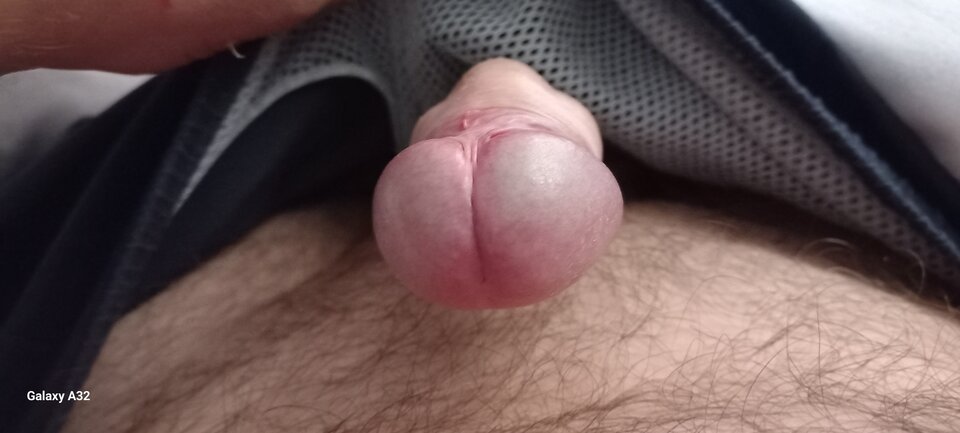 16984755565416590798661923530507.jpg - Bolus14