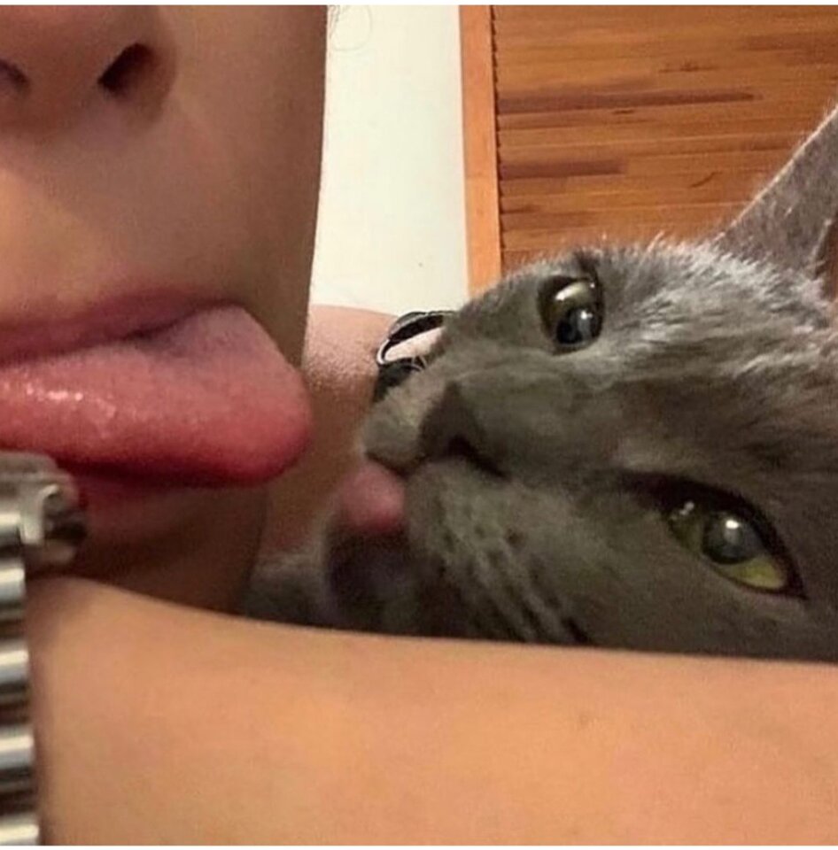 Screenshot_20231028_165923_Instagram.jpg - Molly00