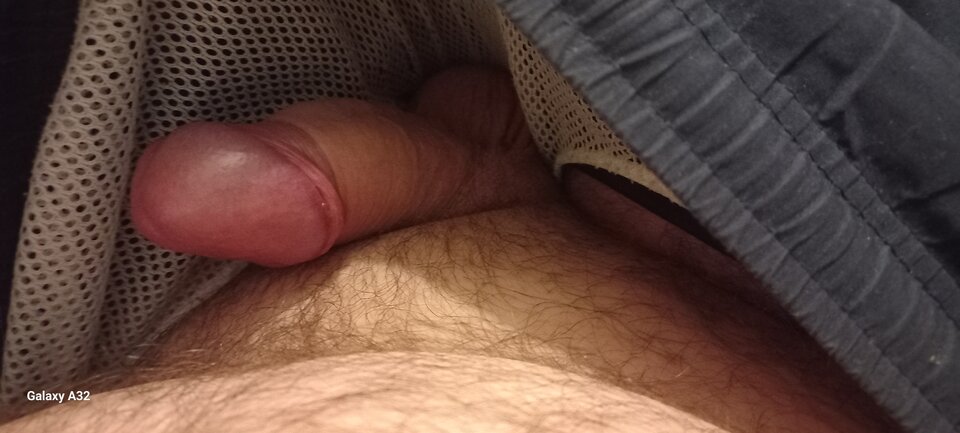 16985110592005675561223149861009.jpg - Bolus14