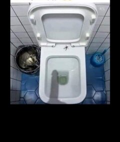 Pająki mi tu chodzą 🤔