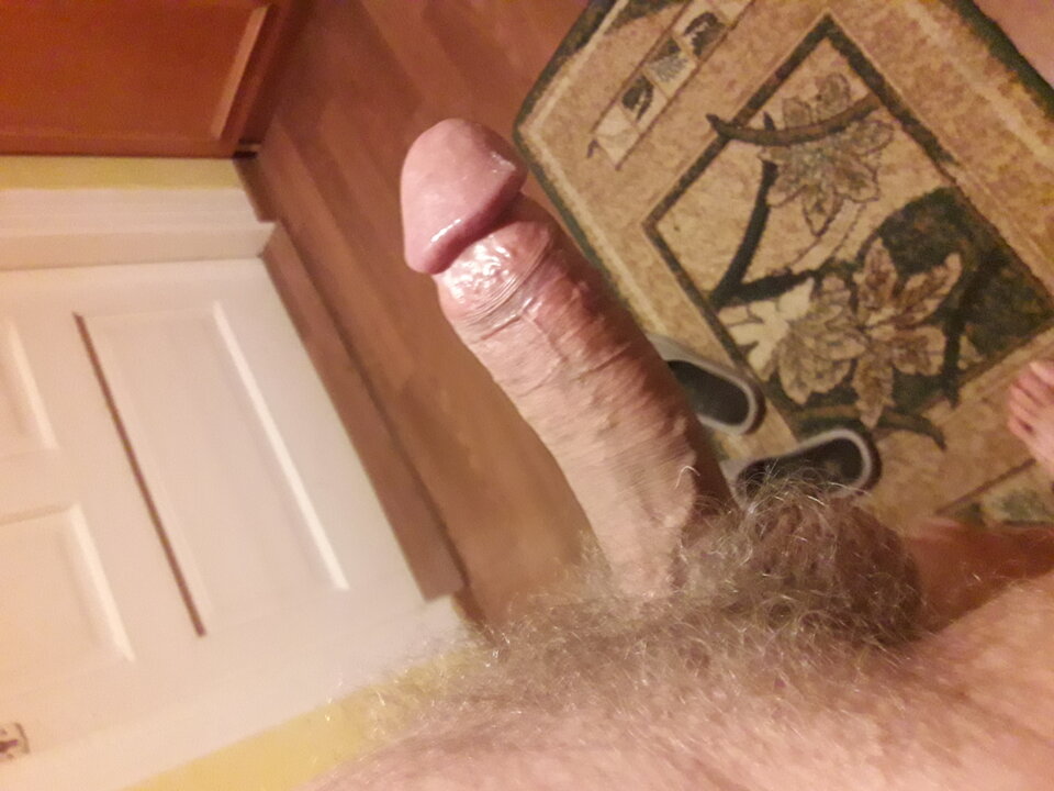 20231028_050018.jpg - brus13