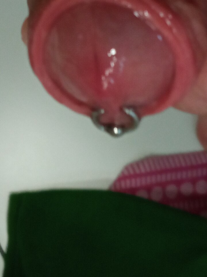 IMG_20231029_162902.jpg - premier4442