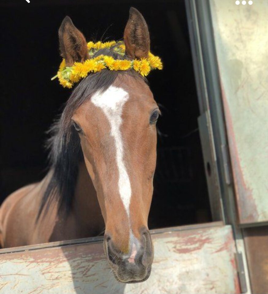 Screenshot_20231029_223234_Pinterest.jpg - Molly00