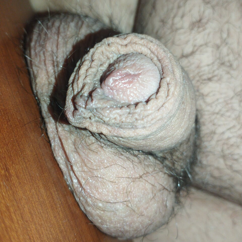 16986147106215100040044013677466.jpg - matuzalem000