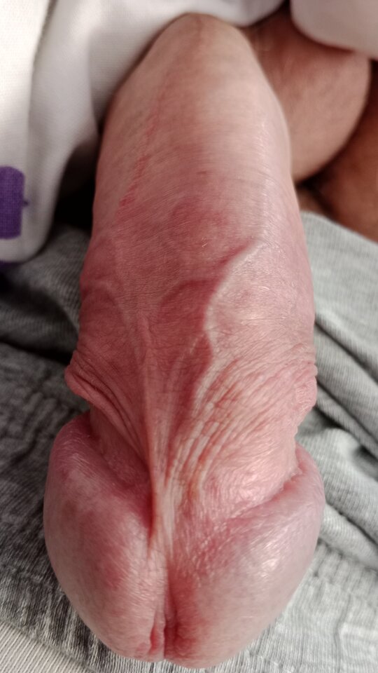 16986613525896435165575712902947.jpg - eroteooo