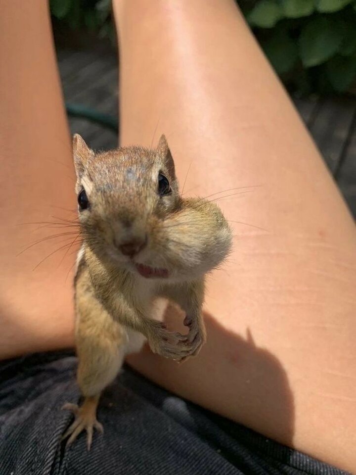 0c9c9dbffab8158ebd0815a79bc3c141.jpg - Molly00