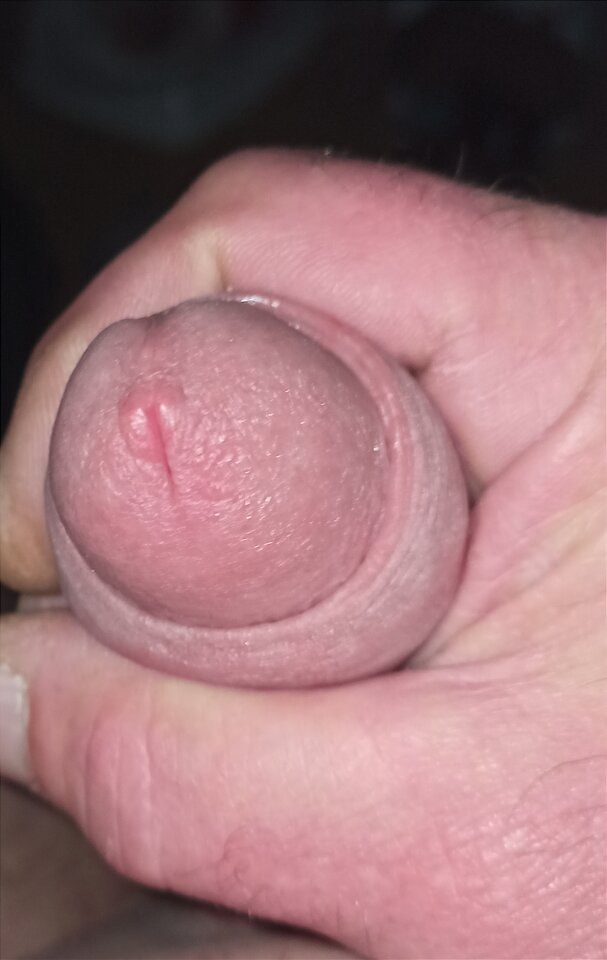 IMG_20231030_191557.jpg - artur42wawa